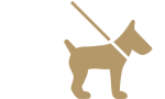 010-honden